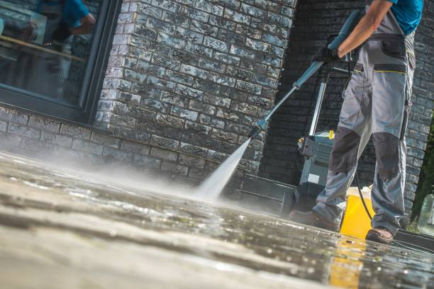 Best Gutter Cleaning  in Marine City, MI